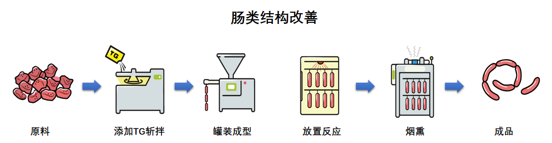 腸類結(jié)構(gòu)改善