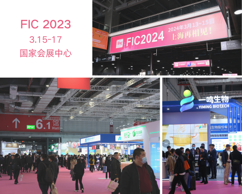 FIC2023國家會展中心現(xiàn)場圖片